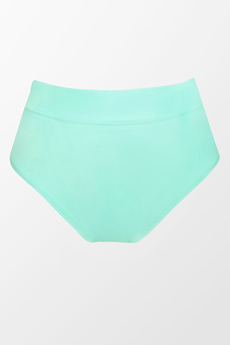 Nature Trip Banded High Waist Plus Size Bikini Bottom